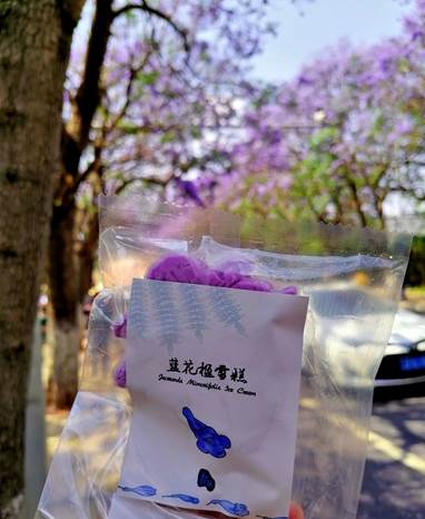 156种植物 1200株大树 这座神奇花园火了