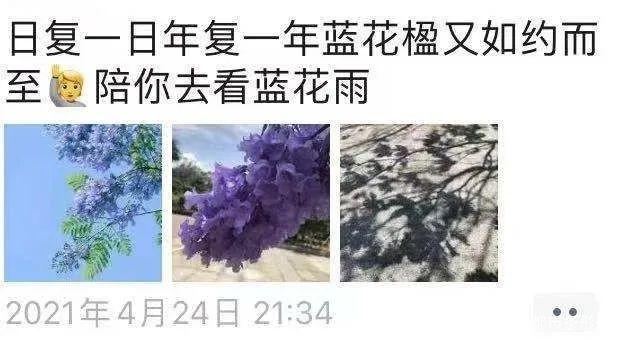 156种植物 1200株大树 这座神奇花园火了
