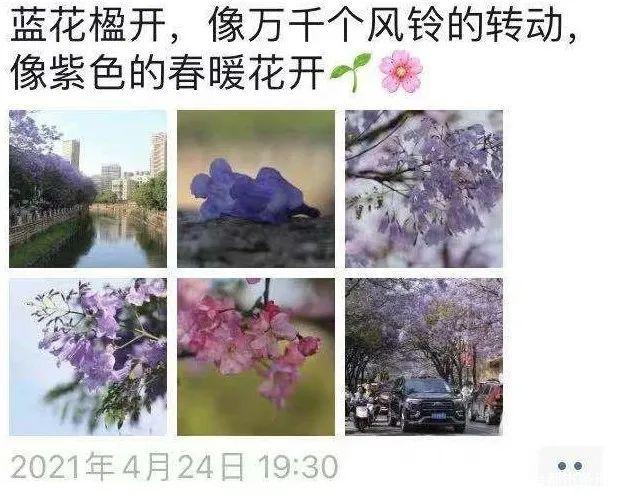 156种植物 1200株大树 这座神奇花园火了